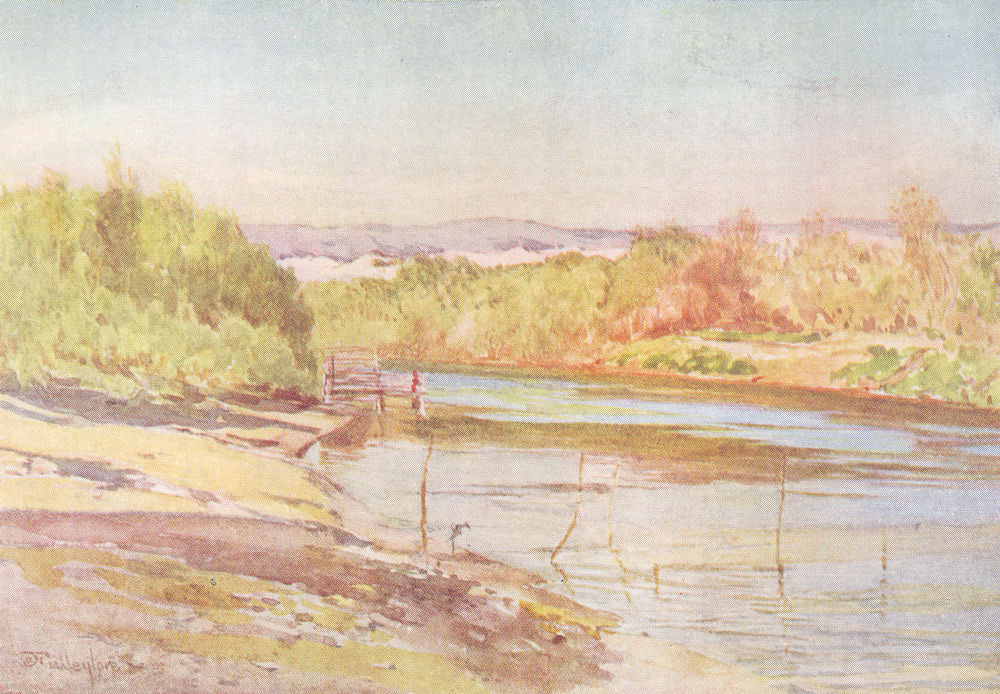 ISRAEL. The ford of the Jordan near Jericho 1902 old antique print picture